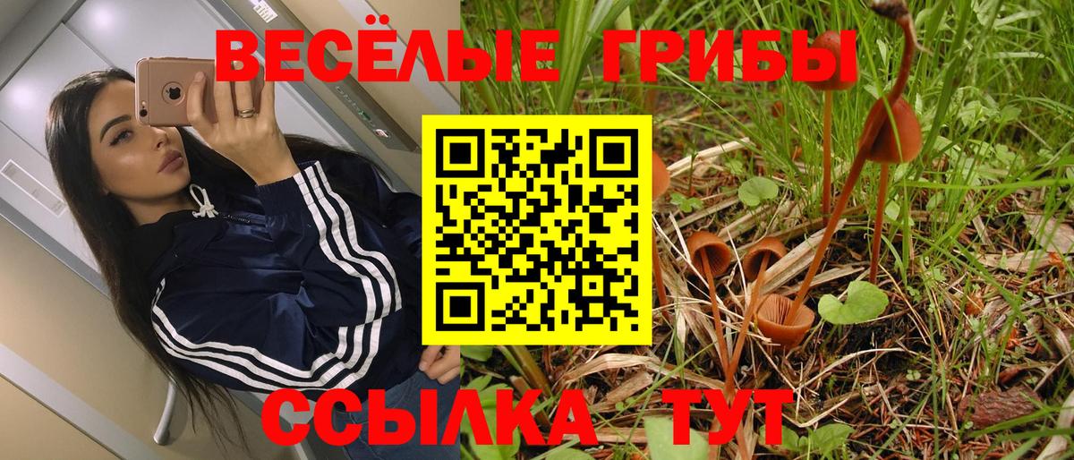Псилоцибиновые грибы Psilocybe  Галлюциногенные грибы прущие грибы  Вход с VPN  Усть-Джегута 